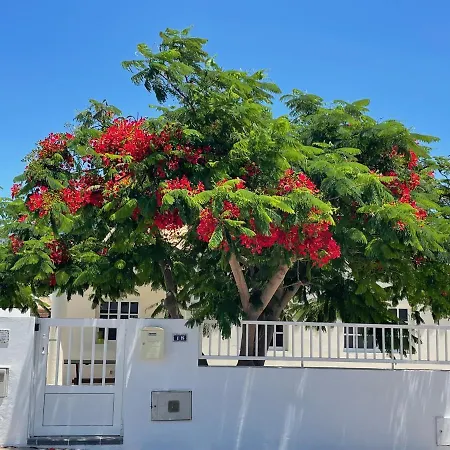 Casa Enamorado Тарахалехо